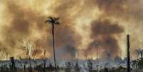 Queimada na terras do produtor rural José Silva de Souza em Santo Antonio do Matupi, sul do Amazonas. O local foi atingido por um incêndio provocado.  Foto: GABRIELA BILÓ / Estadão Conteúdo