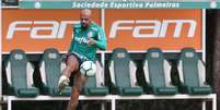 Felipe Melo não joga desde o dia 2 e deve retornar à equipe titular neste domingo (Agência Palmeiras/Divulgação)  Foto: Lance!