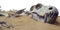 Os dinossauros foram extintos há cerca de 66 milhões de anos — mas há vários outros animais que já desapareceram da face da Terra de uma forma menos 'dramática'  Foto: Getty Images / BBC News Brasil