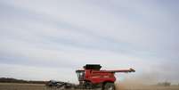 Colheita de soja em fazenda em Roachdale, Indiana, EUA
08/11/2019
REUTERS/Bryan Woolston  Foto: Reuters