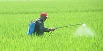 Fazendeiro aplica agrot&oacute;xico  Foto: Reuters