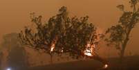 Incêndio florestal em Nova Gales do Sul, na Austrália
05/01/2020
REUTERS/Tracey Nearmy  Foto: Reuters