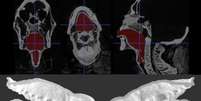 O trato vocal artificial de Nesyamun, visto aqui em duas partes, foi criado usando a tecnologia de impressão 3D  Foto: Scientific Reports / BBC News Brasil