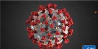 Cientistas disseram à BBC que estão perto de anunciar nome para novo coronavírus  Foto: Smith Collection/Gado / BBC News Brasil