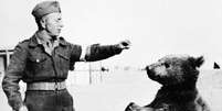 "Adotado" por um pelotão do exército polonês, o urso Wojtek ficou tão próximos dos soldados que ganhou ranking militar  Foto: Reprodução