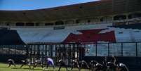 O Vasco ainda não decidiu quem será o substituto de ABel Braga (Foto: Divulgação/Thiago Ribeiro)  Foto: Gazeta Esportiva