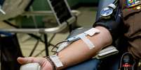 Saiba como doar sangue de forma segura durante pandemia; em SP, déficit chegou a 50%  Foto: LuAnn Hunt/ Unsplash