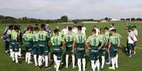 Palmeiras anunciou redução salarial acordada com os jogadores (Foto: Cesar Greco/Agência Palmeiras/Divulgação)  Foto: LANCE!