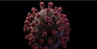 Modelo 3D do coronavírus criado pelo estúdio Visual Science.  Foto: Reprodução / Estadão