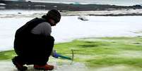 Pesquisador da Universidade de Cambridge coleta amostras de alga em ilha da Antártida
via REUTERS TV  Foto: Reuters