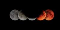 Veja a influência da lua cheia nos signos   Foto: Zoltan Tasi/ Unsplash