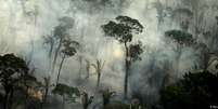 Cerca de 4.5 mil km2 de Floresta Amazônica desmatados estão prontos para serem queimados  Foto: DW / Deutsche Welle