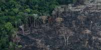 Área desmatada da Amazônia brasileira em Itaituba, no Pará
26/09/2019
REUTERS/Ricardo Moraes/  Foto: Reuters