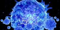 As células T são um tipo de linfócito, células de defesa do sistema imunológico presentes no sangue  Foto: SCIENCE PHOTO LIBRARY / BBC News Brasil