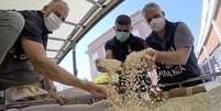 Captagon falsificado é uma das drogas mais populares entre jovens ricos no Oriente Médio  Foto: EPA / BBC News Brasil