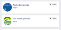 J&aacute; foram identificados&nbsp;62 perfis falsos no Facebook e 117 no Instagram, a maioria se passava como p&aacute;ginas do&nbsp;governo federal ou de auxilios emergenciais  Foto: Reprodu&ccedil;&atilde;o/PSafe / Estad&atilde;o Conte&uacute;do