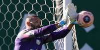 Weverton será poupado na estreia do Brasileirão (Agência Palmeiras/Divulgação)  Foto: LANCE!