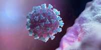 Imagem de computador representando o novo coronavírus
18/02/2020
NEXU Science Communication/via REUTERS  Foto: Reuters