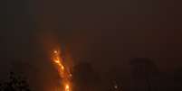 Incêndios atingem Patanal
29/08/2020
REUTERS/Amanda Perobelli
  Foto: Reuters