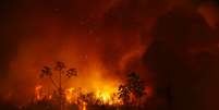 Fumaça e chamas de queimada no Pantanal, em Poconé, no Mato Grosso
03/09/2020
REUTERS/Amanda Perobelli  Foto: Reuters