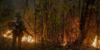 Incêndios no Pantanal atingiram grandes proporções e já consumiram quase 3 milhões de hectares do bioma no Brasil  Foto: EPA/Rogerio Florentino / BBC News Brasil