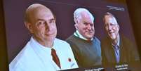 Harvey J. Alter, Michael Houghton e Charles M. Rice foram os vencedores do Nobel da Medicina em 2020  Foto: Claudio Bresciani/TT News Agency / Reuters