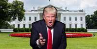 “Você está demitido!”: Trump poderá voltar a dizer seu bordão na TV  Foto: Fotomontagem: Blog Sala de TV  / Blog Sala de TV