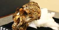 O crânio de dois milhões de anos é um espécime de Paranthropus robustus  Foto: LA TROBE UNIVERSITY / BBC News Brasil