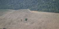 Vista aérea de trecho desmatado da Amazônia perto de Porto Velho, em Rondônia
14/08/2020 REUTERS/Ueslei Marcelino  Foto: Reuters