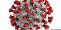 Proteína spike (S) na superfície do coronavírus Sars-Cov-2 é uma de suas principais características  Foto: DW / Deutsche Welle