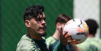 Gustavo Gomez não disputará a final da Recopa  Foto: Cesar Greco/Palmeiras