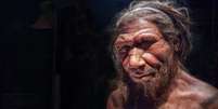 Reconstituição de como seria um neandertal adulto   Foto: Flavio Massari/Alamy / Meio Bit