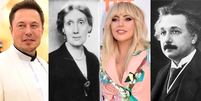 Elon Musk, Virginia Woolf, Lady Gaga e Albert Einstein são exemplos de gênios do passado e do presente segundo Wright  Foto: Getty Images / BBC News Brasil