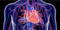 Sistema cardiovascular também pode ser afetado pela Covid 19  Foto: Shutterstock / Sport Life