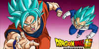  Foto: Dragon Ball Wiki