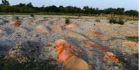 Centenas de valas têm sido feitas informalmente para vítimas da covid nas areias que ficam às margens do Ganges, rio sagrado para os indianos  Foto: Getty Images / BBC News Brasil