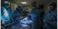 Paciente de 56 anos foi internado em 12 de abril e não resistiu às complicações de infecção fúngica  Foto: EPA / BBC News Brasil