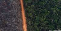 Área desmatada na Amazônia: bioma concentra 61% da área devastada em 2020  Foto: DW / Deutsche Welle