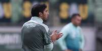 Abel Ferreira à beira do gramado no Allianz Parque (Foto: Cesar Greco/Palmeiras)  Foto: Lance!