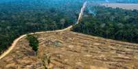 Desmatamento na Amazônia vem batendo recordes há 3 meses  Foto: Ansa / Ansa - Brasil