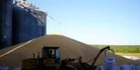Grãos de milho após colheita da segunda safra em Sorriso (MT) 
26/07/2017
REUTERS/Nacho Doce  Foto: Reuters
