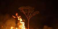 Incêndio em terra indígena no Estado do Amazonas
15/09/2019 REUTERS/Bruno Kelly  Foto: Reuters