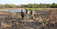 Bombeiros mobilizam contingente e aviões no combate aos incêndios no Pantanal, em Mato Grosso do Sul  Foto: CBMMS/Divulgação / Estadão Conteúdo