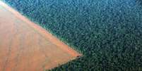 Fronteira entre floresta amazônica e área de produção de soja em Mato Grosso 
04/10/2015
REUTERS/Paulo Whitaker  Foto: Reuters