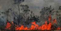 Onde a floresta já foi mais de 30% devastada, a emissão de carbono chega a ser dez vezes maior do que onde desmatamento é inferior a 20%  Foto: DW / Deutsche Welle