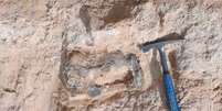 Detalhe do fóssil, identificado como parte do fêmur de um titanossauro, encravado na rocha  Foto: Willian Nava/Museu de Paleontologia de Marília/Divulgação. / Estadão