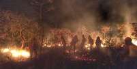 Bombeiros apagam incêndio na Caatinga no Ceará  Foto: SSPDS-CE / BBC News Brasil