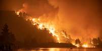 Incêndio na ilha de Evia, Grécia
06/08/2021 REUTERS/Nicolas Economou  Foto: Reuters