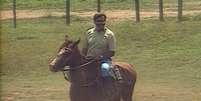 Em matéria antiga do 'Globo Rural', Tarcísio Meira como gostava de estar: em cima de um cavalo a cuidar de bois  Foto: TV Globo / Reprodução