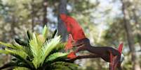 Imagem artística de como teria sido o pterossauro encontrado no Nordeste e agora apresentado na revista científica PLOS ONE  Foto: Divulgação / BBC News Brasil